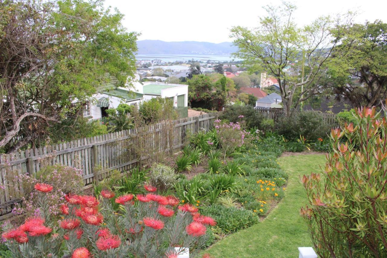 Hotel 14 Mount Joy à Knysna Extérieur photo